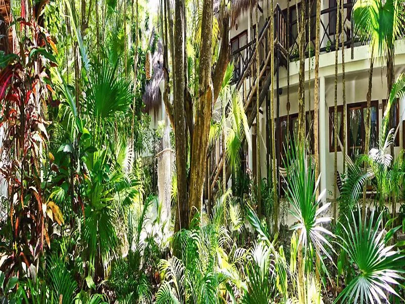 Hotel Ecologico Posada Dos Ceibas Tulum