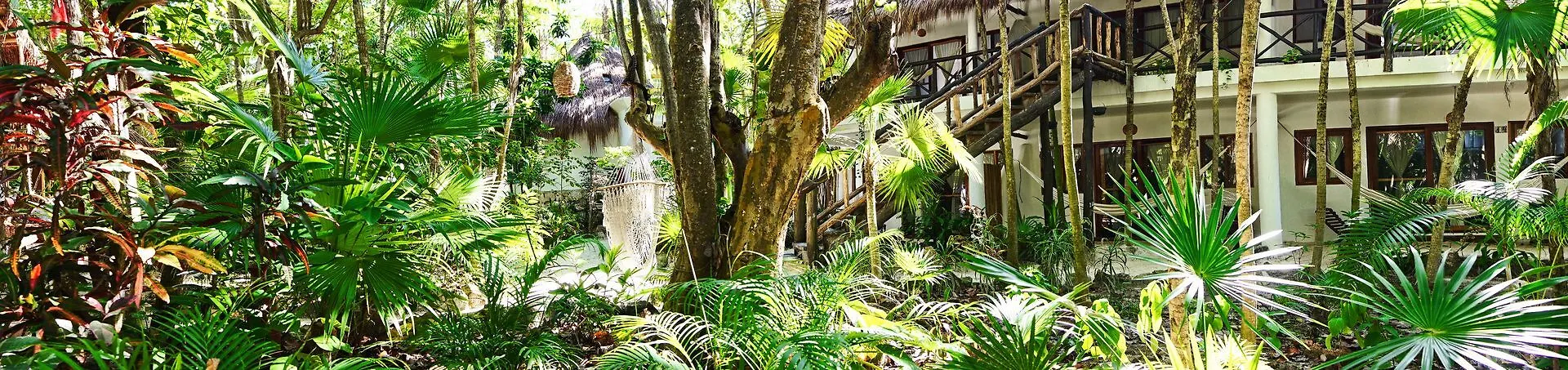 ***  Hotel Ecologico Posada Dos Ceibas Tulum Mexico